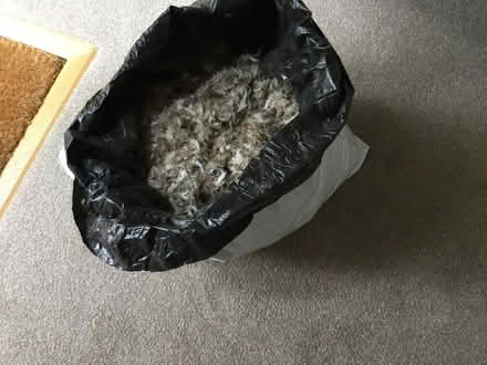 Photo of free feather filling (Abingdon-on-Thames OX14) #1