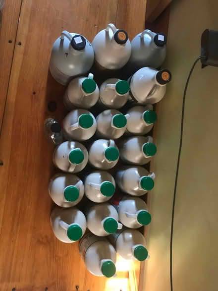 Photo of free Maple Syrup Jugs (Harvard) #1