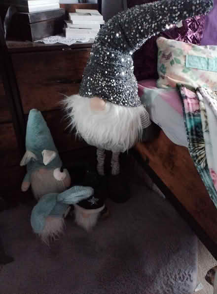 Photo of free Gnonks to go (Barnham) #1