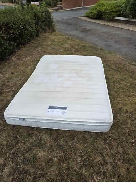 Photo of free Mattress 5' silentnight (Worcester WR4) #2