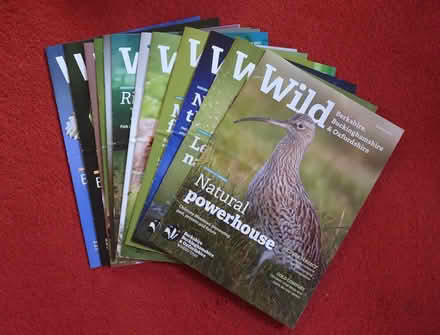 Photo of free BBOWT Magazines (Upper Radley OX14) #1