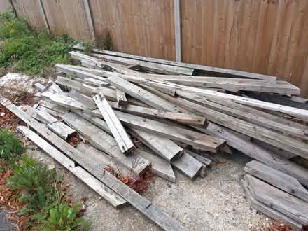Photo of free Wood (Havant PO9) #1