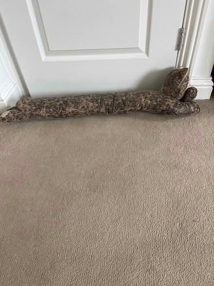 Photo of free Draft excluder (MK45) #1