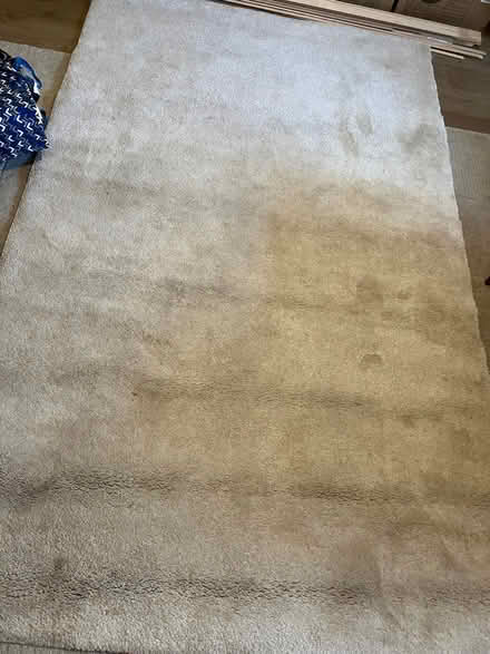 Photo of free Large rug (Cockermouth CA13) #1