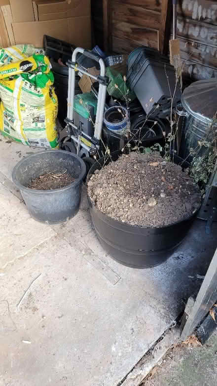 Photo of free Garden bulbs - mostly spring flowering (Turves Green B31) #2