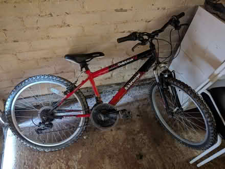 Photo of free Daytona Extreme kids mountain bike (Carnforth LA5) #1