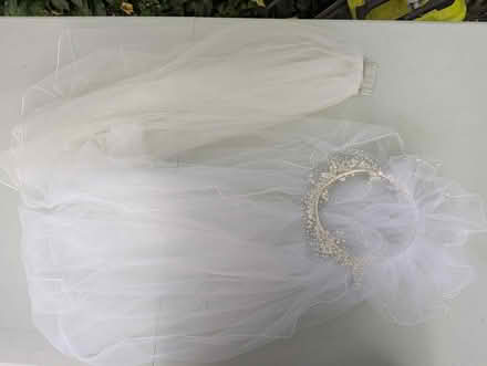 Photo of free 2 bridal veils (Davis Square Somerville) #1