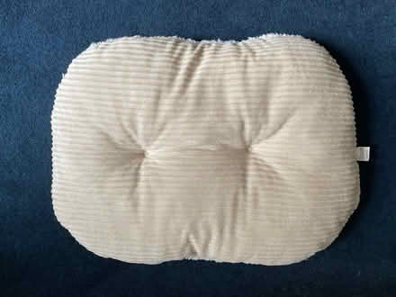 Photo of free Pet cushion (City of Bristol BS6) #2