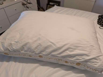 Photo of free Dunelm feather and down pillow (Hornby LA2) #1