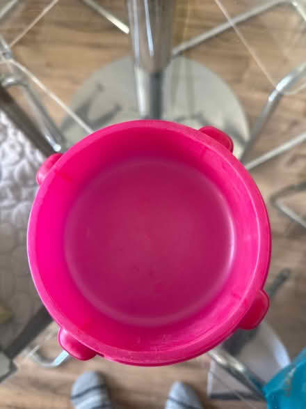Photo of free Small pink cat bowl (West Granton EH5 1BA) #2