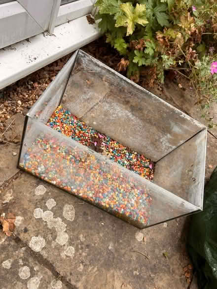 Photo of free Small fish tank (Bromley BR2) #1