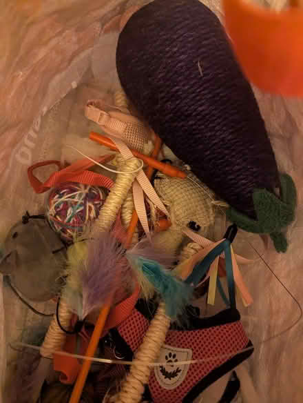 Photo of free Cat tower and bag of cat toys (Deddington OX15) #2