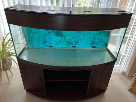 Photo of free Fish tank 4ft with stand (Bracknell) #1