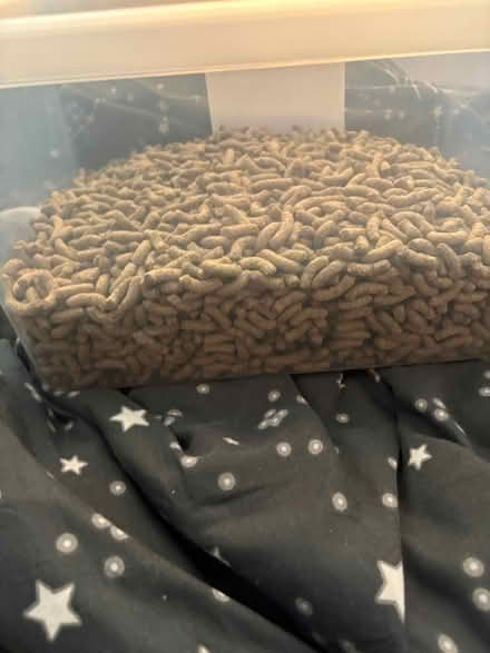 Photo of free Rabbit food (Sevenoaks) #1