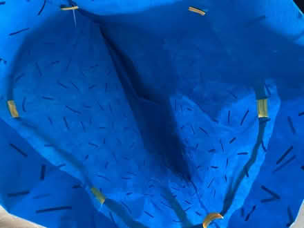 Photo of free Large blue Amazon gift bag (201 Streatham High Road) #3