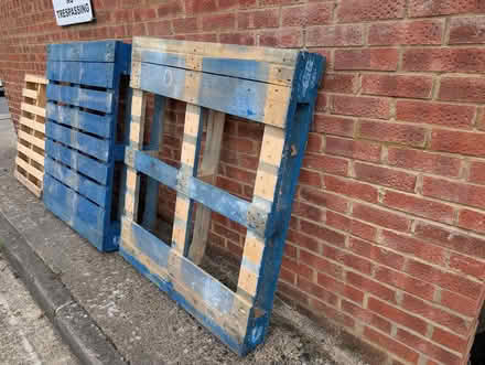 Photo of free Pallets (3 pieces) (South Croydon) #2