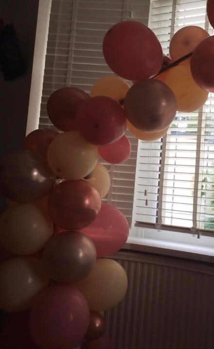 Photo of free Balloons (Littleover - DE23) #2