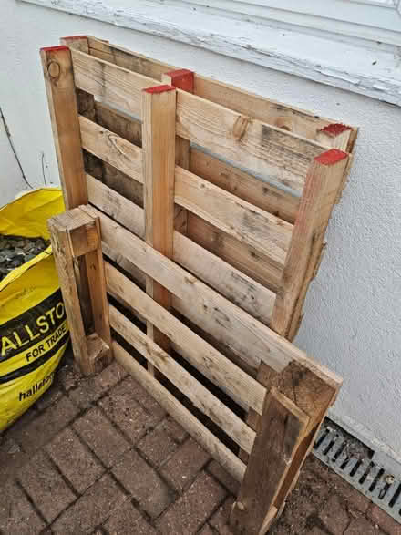 Photo of free 3 Pallets (SE12) #1