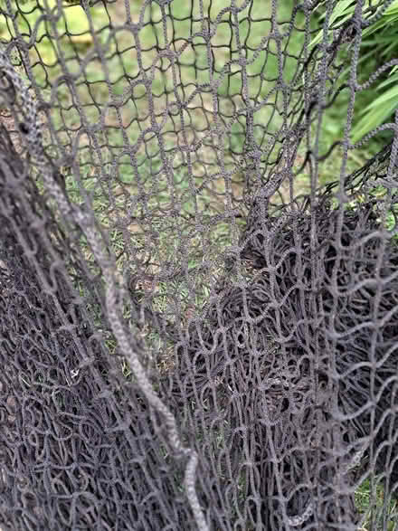 Photo of free Heavy net (Downend GL6) #1