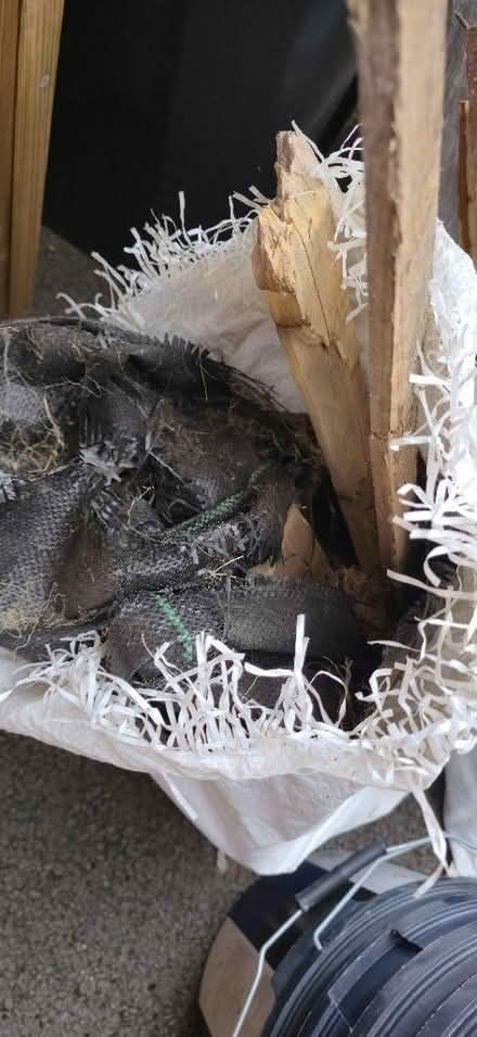 Photo of free 4-5 bags of wood (Bishops Tachbrook CV34) #3