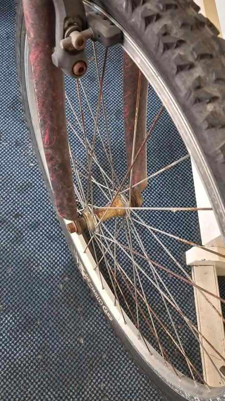 Photo of free Kids bicycle (BD8) #3