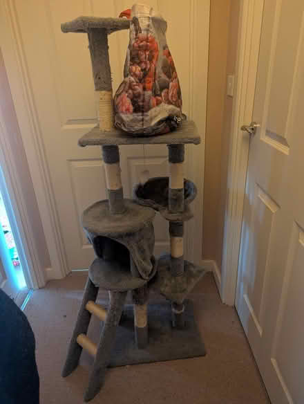 Photo of free Cat tower and bag of cat toys (Deddington OX15) #1