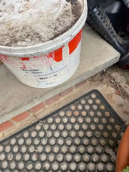 Photo of free Nearly full magnolia paint (At albans) #1