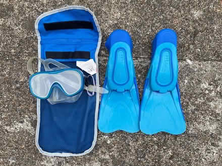 Photo of free Flippers (Islington N1) #1