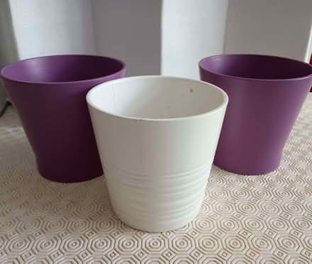 Photo of free Pots for indoor plants (Chorlton M21) #1