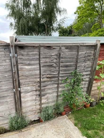 Photo of free Fence panel (Orpington, BR5) #1