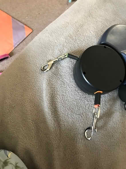 Photo of free Dog lead (Kemptown BN2) #3