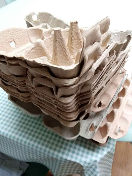 Photo of free Egg boxes (Bowerham LA1) #1