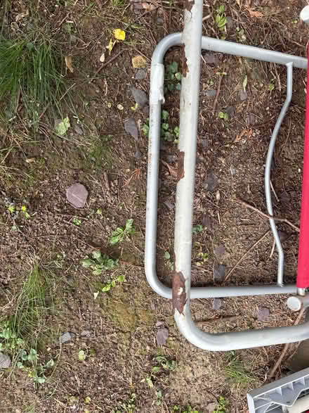 Photo of free 1 Sun Lounger (Potters Bar EN6) #3