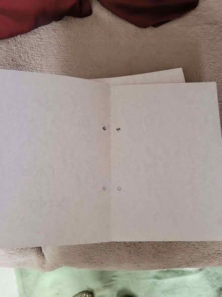 Photo of free Covers for Order of Service (wedding) (Bernards Heath AL1) #2