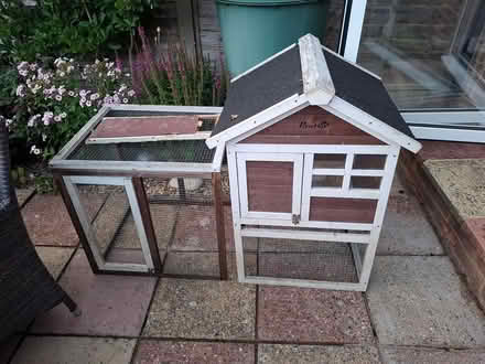 Photo of free Guinea pig run (Horsham) #1