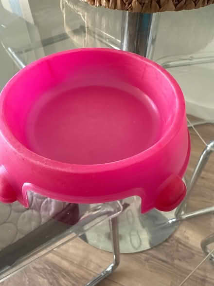 Photo of free Small pink cat bowl (West Granton EH5 1BA) #1