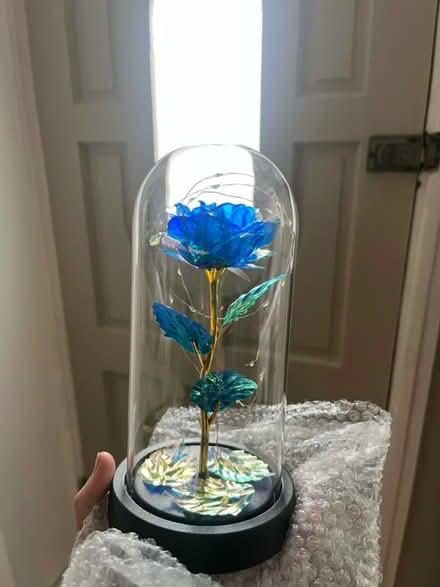 Photo of free Decorative rose (London fields E8) #1