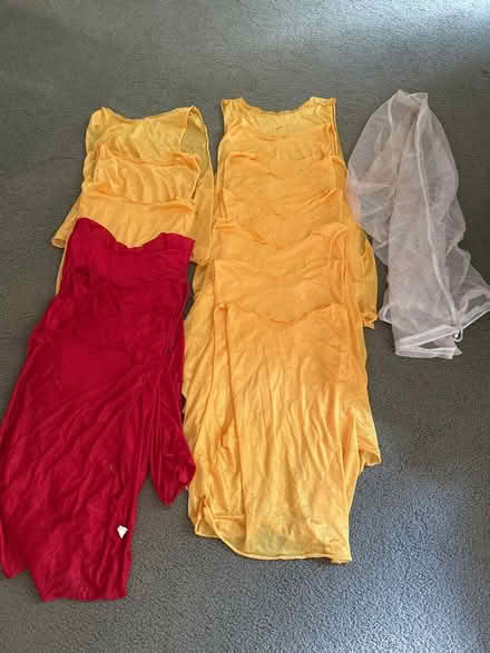 Photo of free Pinneys (Near Emory) #1