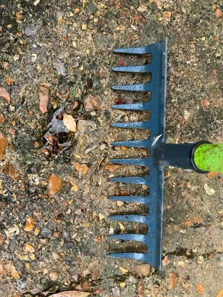 Photo of free Metal Rake (Twickenham TW2) #1