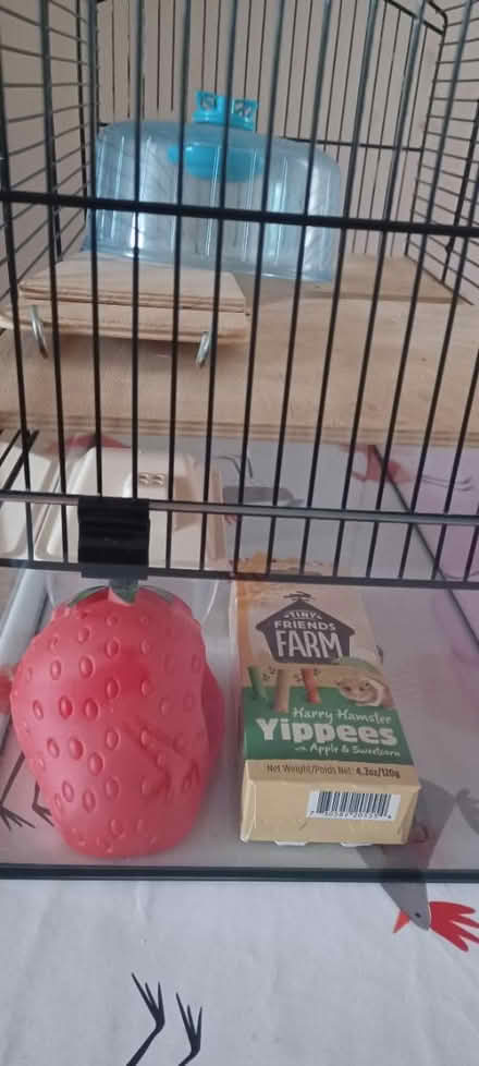 Photo of free Hamster etc cages and contents (CT4) #3