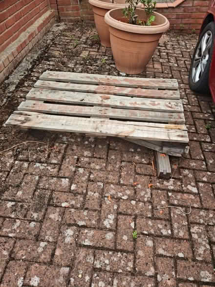 Photo of free 3 Pallets (SE12) #3