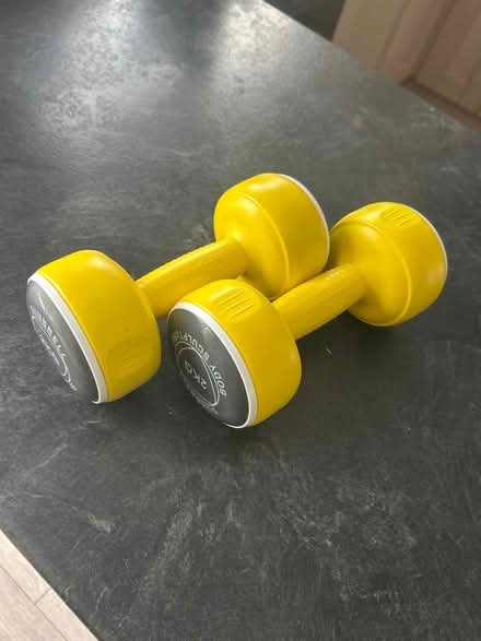 Photo of free Dumbells (Rayleigh SS6) #1