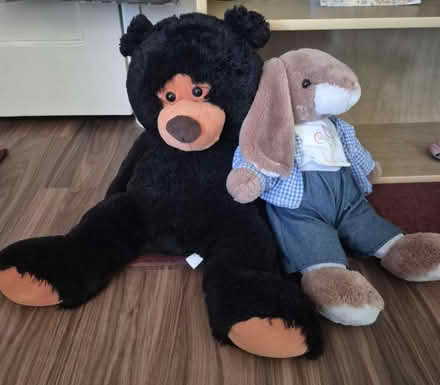 Photo of free Stuffed animals (menaul & Eubank) #1