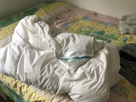 Photo of free DORMA Single Duvet (Sandal WF2) #1