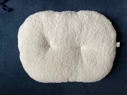 Photo of free Pet cushion (City of Bristol BS6) #1