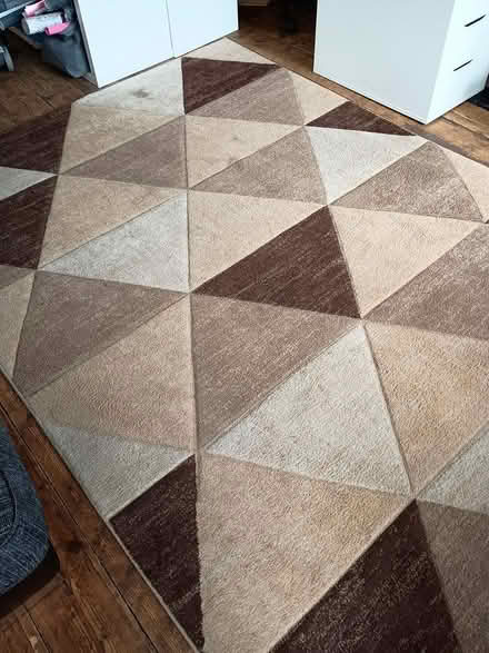 Photo of free Large Rug (Wf17 6LQ) #1