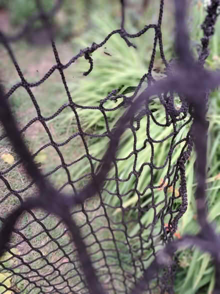 Photo of free Heavy net (Downend GL6) #3