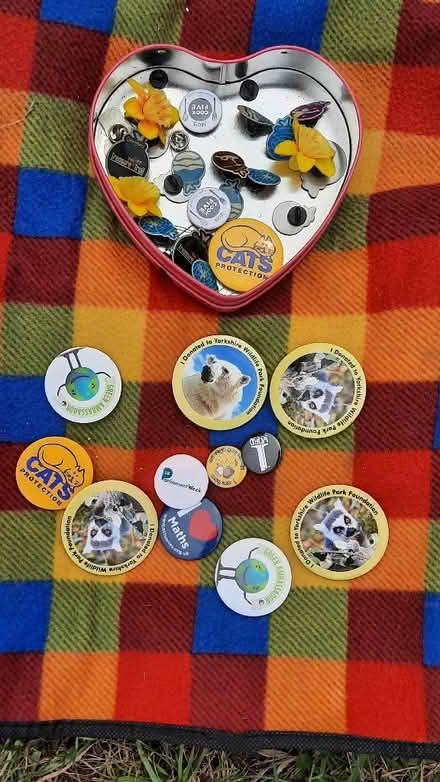 Photo of free Badges (Old Woking GU22) #2