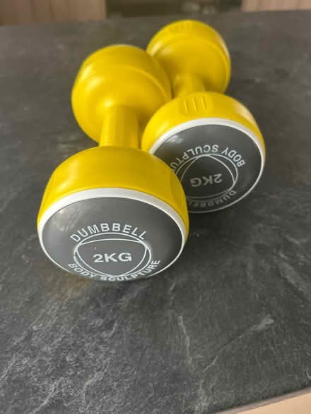 Photo of free Dumbells (Rayleigh SS6) #2