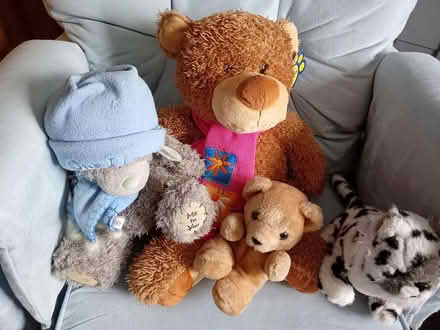 Photo of free Teddies (Knowsley) #2